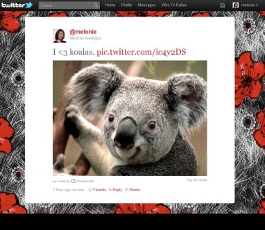 Twitter photo service display