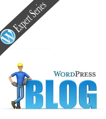 wordpress-blog-expert-series