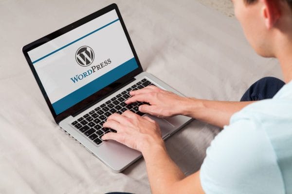 best wordpress themes