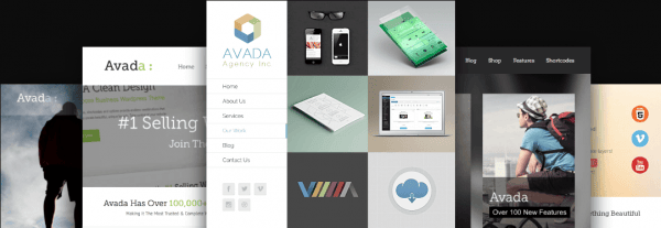 Avada Theme and top ten wordpress themes for business